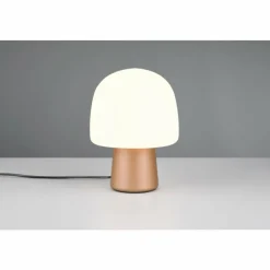 Luminaires Trio Lampe Champignon Steen Lampe à poser Brun, 1 lumière