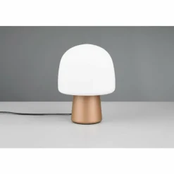 Luminaires Trio Lampe Champignon Steen Lampe à poser Brun, 1 lumière