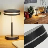 hofstein Lampe de table Huallilemu LED Noir, 1 lumière