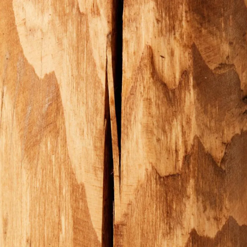 Luminaires Rustiques-Luminaires Brilliant Lampe de table Brilliant Trabo Bois clair, 1 lumière