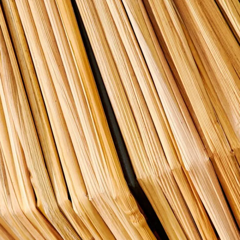 Luminaires Scandinaves-hofstein Lampe de table Cricket Écru, Noir, 1 lumière