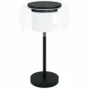 Luminaires Eglo Lampe de table Eglo BRIAGLIA LED Noir, 1 lumière, Changeur de couleurs