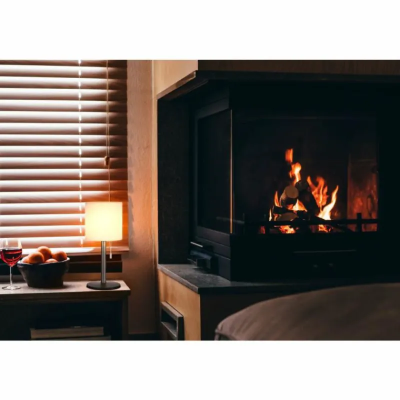 FHL easy Lampe de table Lesina LED Anthracite, 1 lumière, Changeur de couleurs* Lampes À Poser