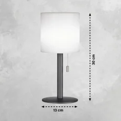 FHL easy Lampe de table Lesina LED Anthracite, 1 lumière, Changeur de couleurs* Lampes À Poser