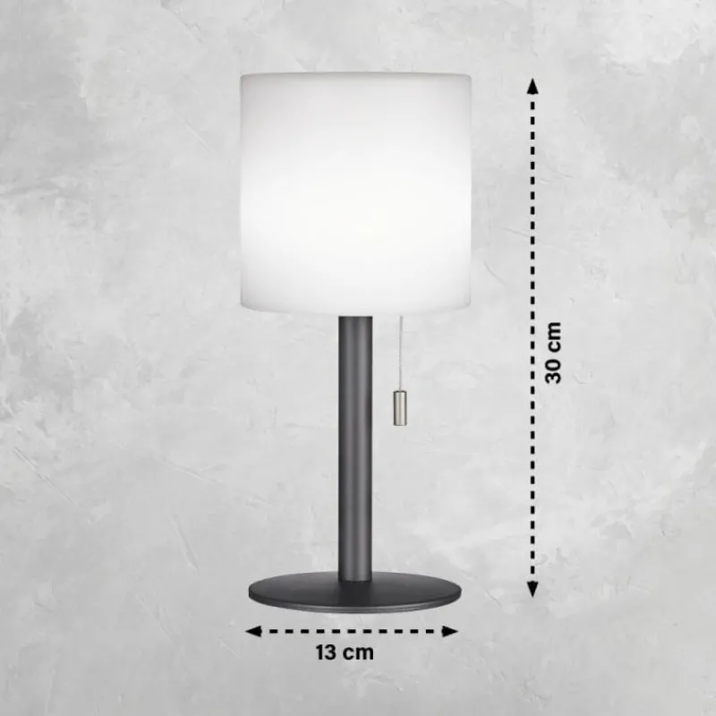 FHL easy Lampe de table Lesina LED Anthracite, 1 lumière, Changeur de couleurs* Lampes À Poser