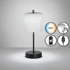 FHL easy Lampe de table Riva LED Noir, 1 lumière