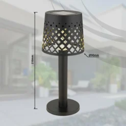 Luminaires Globo Lighting Lampe de table Globo SOLAR LED Noir, Transparent, 1 lumière