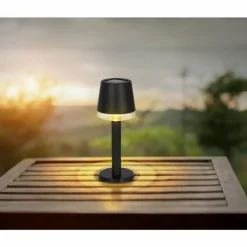 Luminaires Globo Lighting Lampe de table Globo SOLAR LED Noir, Transparent, 1 lumière