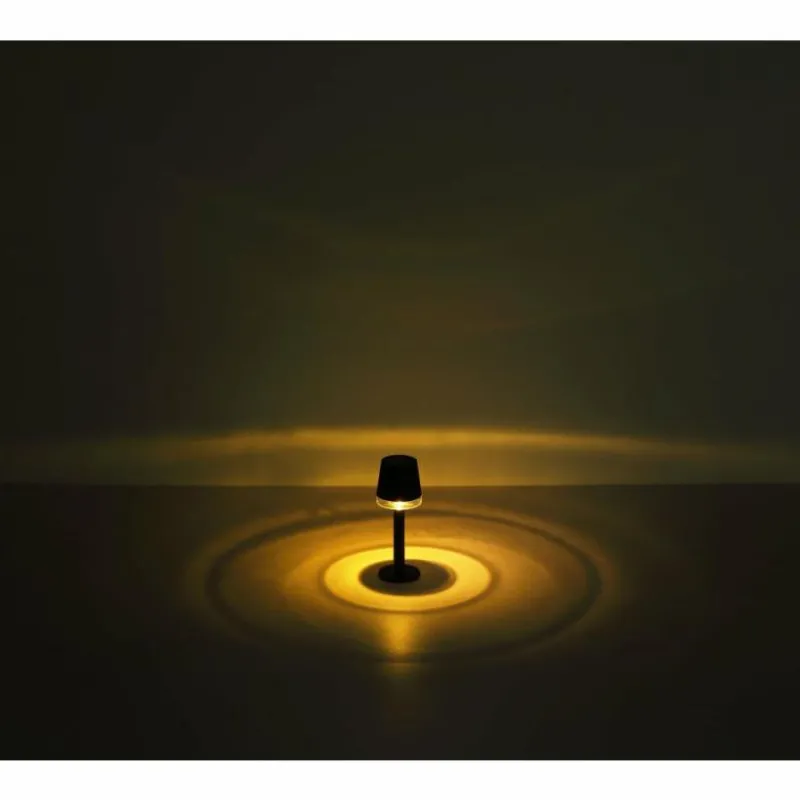 Luminaires Globo Lighting Lampe de table Globo SOLAR LED Noir, Transparent, 1 lumière