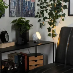 Idual Lampe de table Lilas LED Argenté, 1 lumière, Changeur de couleurs