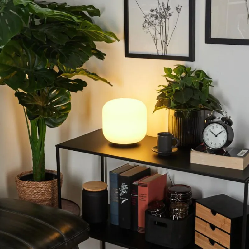 Idual Lampe de table Thyme LED Nickel mat, 1 lumière, Télécommandes, Changeur de couleurs