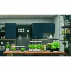 Luminaires Ledvance Lampe de table LEDVANCE Indoor Garden Blanc, 1 lumière* Éclairage Led