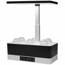 Luminaires Ledvance Lampe de table LEDVANCE Indoor Garden Noir, 1 lumière* Éclairage Led