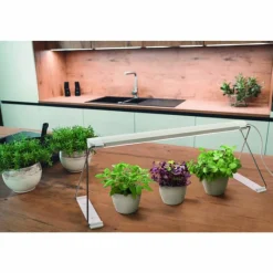 Luminaires Ledvance Lampe de table LEDVANCE Indoor Garden Blanc, 1 lumière* Éclairage Led