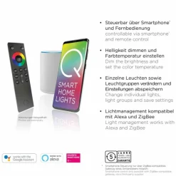 Paul Neuhaus Q-Serie Lampe de table Leuchten-Direkt Q-VITO LED Anthracite, 1 lumière, Télécommandes