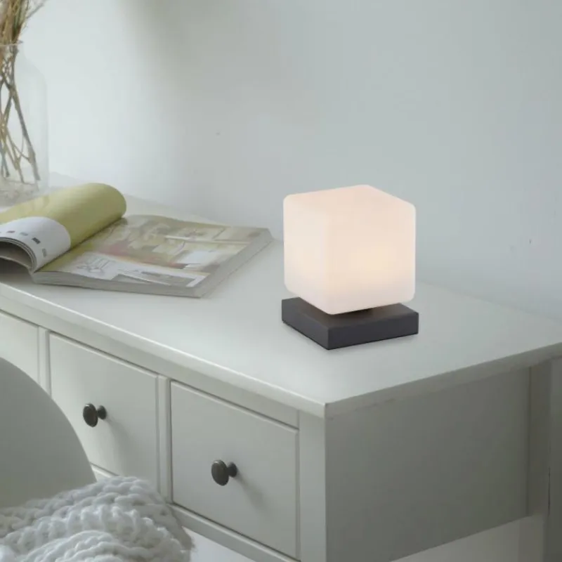 Luminaires Paul Neuhaus Lampe de table Paul Neuhaus DADOA LED Anthracite, 1 lumière