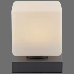 Luminaires Paul Neuhaus Lampe de table Paul Neuhaus DADOA LED Anthracite, 1 lumière