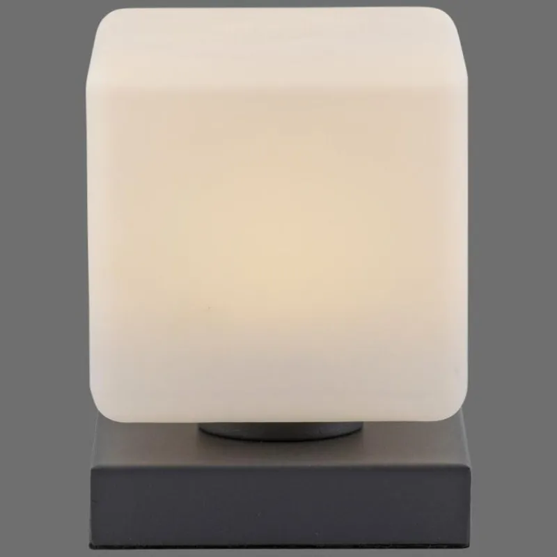 Luminaires Paul Neuhaus Lampe de table Paul Neuhaus DADOA LED Anthracite, 1 lumière