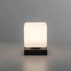 Luminaires Paul Neuhaus Lampe de table Paul Neuhaus DADOA LED Anthracite, 1 lumière