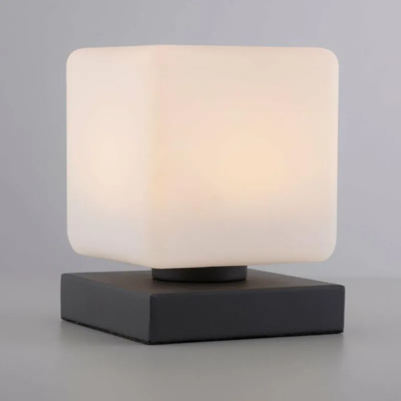 Luminaires Paul Neuhaus Lampe de table Paul Neuhaus DADOA LED Anthracite, 1 lumière