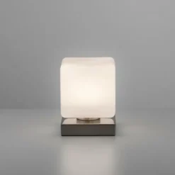 Luminaires Paul Neuhaus Lampe de table Paul Neuhaus DADOA LED Acier brossé, 1 lumière