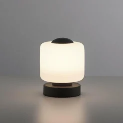 Luminaires Paul Neuhaus Lampe de table Paul Neuhaus BOTA LED Anthracite, 1 lumière