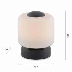 Luminaires Paul Neuhaus Lampe de table Paul Neuhaus BOTA LED Anthracite, 1 lumière