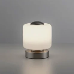Luminaires Paul Neuhaus Lampe de table Paul Neuhaus BOTA LED Acier brossé, 1 lumière