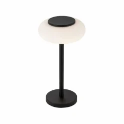 Paul Neuhaus Q-Serie Lampe de table Paul Neuhaus Q-ETIENNE LED Noir, 1 lumière, Télécommandes