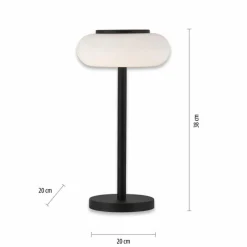 Paul Neuhaus Q-Serie Lampe de table Paul Neuhaus Q-ETIENNE LED Noir, 1 lumière, Télécommandes