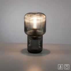 Suspension Verre Fumé-Luminaires Paul Neuhaus Lampe de table Paul Neuhaus MASHI Fumée, 1 lumière