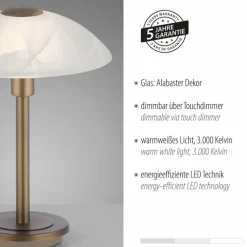 Luminaires Paul Neuhaus Lampe de table Paul Neuhaus ENOVA LED Vieux laiton, 1 lumière