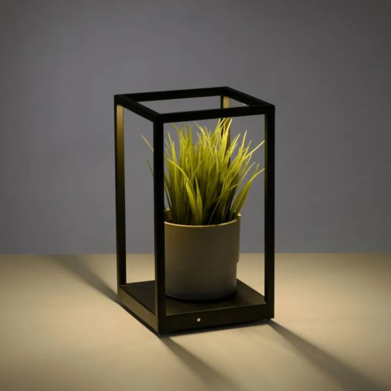 Luminaires Paul Neuhaus Lampe de table Paul-Neuhaus CONTURA LED Noir, 2 lumières* Éclairage Led