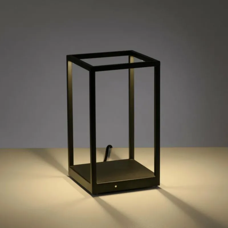 Luminaires Paul Neuhaus Lampe de table Paul-Neuhaus CONTURA LED Noir, 2 lumières* Éclairage Led