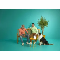 Luminaires Philips Lampe de table Philips WiZ Portable LED Blanc, 1 lumière, Changeur de couleurs