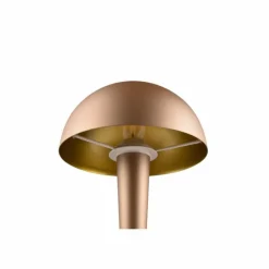 Luminaires Reality Lampe de table Reality CANARIA LED Brun, 1 lumière* Lampes À Poser