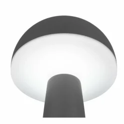 Luminaires Reality Lampe de table Reality FUNGO LED Anthracite, 1 lumière