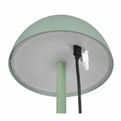 Luminaires Reality Lampe de table Reality RICARDO LED Vert, 1 lumière