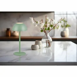 Luminaires Reality Lampe de table Reality RICARDO LED Vert, 1 lumière