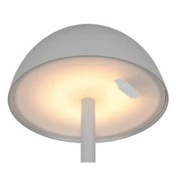 Luminaires Reality Lampe de table Reality RICARDO LED Gris, 1 lumière