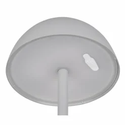 Luminaires Reality Lampe de table Reality RICARDO LED Gris, 1 lumière