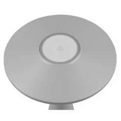 Luminaires Reality Lampe de table Reality TORREZ LED Gris, 1 lumière