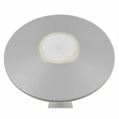 Luminaires Reality Lampe de table Reality TORREZ LED Gris, 1 lumière