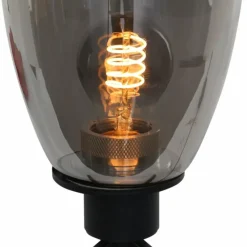 Suspension Verre Fumé-Luminaires Steinhauer Lampe de table Steinhauer Reflexion Gris, Noir, 1 lumière