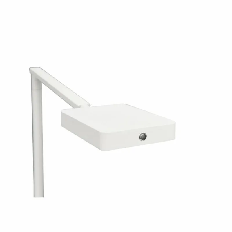 Luminaires Trio Lampe de table Trio Pavia LED Blanc, 1 lumière* Lampes À Poser