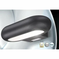 Luminaires Globo Lighting Lampe d'extérieur Globo RINAH LED Anthracite, Gris, 1 lumière