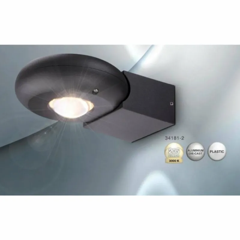 Luminaires Globo Lighting Lampe d'extérieur Globo RINAH LED Gris, 2 lumières