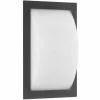 Luminaires LCD Lampe murale d'extérieur LCD LED Noir, 1 lumière