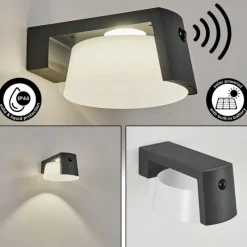 hofstein Lampe solaires Lafite LED Anthracite, 1 lumière, Détecteur de mouvement