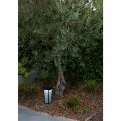 Luminaires Lutec Lampe solaires Lutec Dias LED Noir, 1 lumière, Détecteur de mouvement, Changeur de couleurs